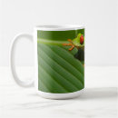 Search for green tree frog mugs Amphibian