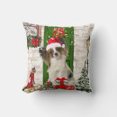 Search for papillon cushions Pet