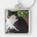 Search for persians key rings Cat lovers