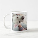 Search for best pal mugs For him