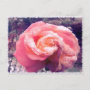 Search for trend horizontal postcards Rose