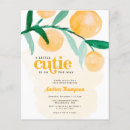 Search for baby shower flyers Watercolor