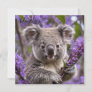 Search for koala bear cards Australian