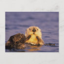 Search for monterey california postcards United states