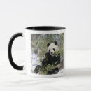 Search for china panda mugs Snow