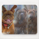 Search for mastiff mouse mats Pet