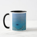 Search for queensland mugs Aerial