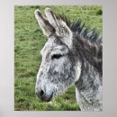 Search for donkey baby kids Cute