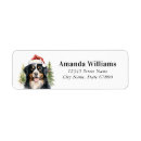 Search for bernese mountain dog return address labels Puppy