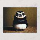 Search for dog with bird postcards Cute