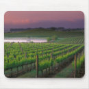 Search for distant mouse mats Landscape