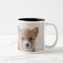Search for welsh corgi mugs Animals