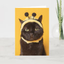 Search for funny thinking of you cards Cat
