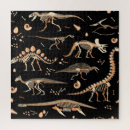 Search for fossil puzzles Dinosaur