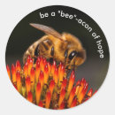 Search for echinacea stickers Bee