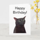 Search for spaced out cards For him
