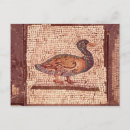 Search for animal postcards Bird