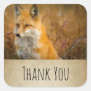 Search for wild fox stickers Orange