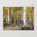Search for aspen colorado postcards Travel