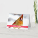 Search for female birthday cards Bird