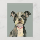 Search for staffie postcards Staffordshire