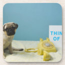 Search for looking at camera coasters Horizontal