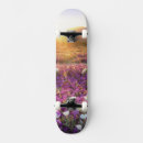 Search for desert skateboards Sunset