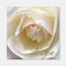 Search for rose macro magnets Botanical