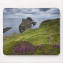 Search for landforms mouse mats Atlantic ocean