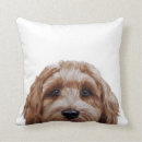 Search for labradoodle cushions Labrador