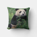 Search for giant panda cushions Animal