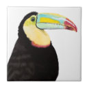 Search for tropical tiles Bird