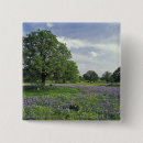 Search for meadow badges Farm