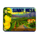 Search for sunny magnets Green