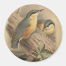 Search for boho magnets Bird