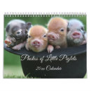 Search for piglet gifts Pigs
