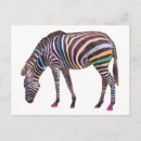 Search for zebra pattern postcards Wild