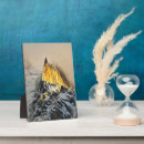 Search for danita delimont plaques Winter