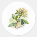 Search for native plant stickers Gardening