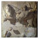 Search for fighting tiles Century