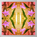 Search for delicate posters Pattern
