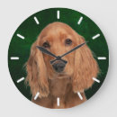 Search for cocker spaniel clocks Pets
