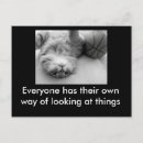 Search for opinion postcards Cat
