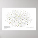 Search for flowering plants posters Flowers