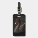 Search for beaks accessories Bird