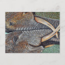 Search for elephant anniversary cards African