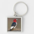 Search for fencing key rings White