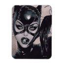 Search for dc comic magnets Batman villain