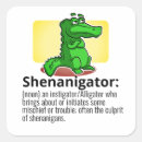 Search for funny irish stickers Shenanigans