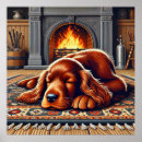 Search for setter posters Irish setter puppy